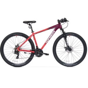 Bicicleta Topmega Sunshine Rodado 29 / 21V Shimano TY300 Coral/Violeta Talle S