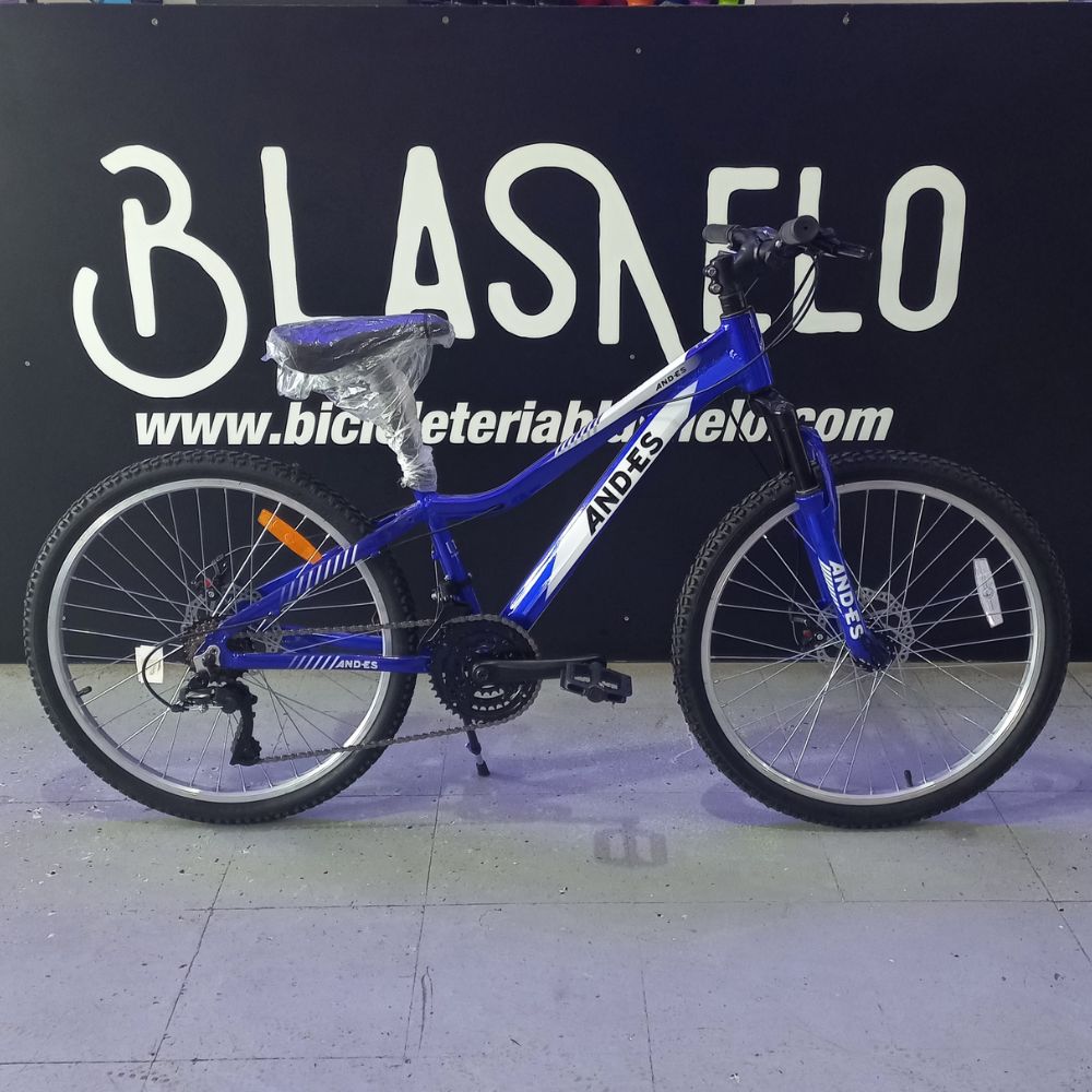 Bicicleta MTB Andes Rodado 24 De Aluminio Color Azul
