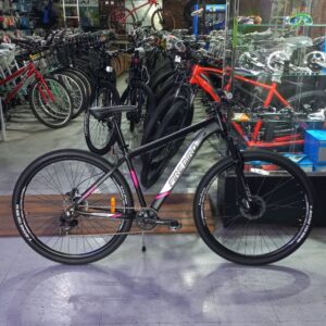 Bicicleta Rodado 29 Firebird Col-Raiser Talle 18 Ltwoo Monoplato Disco Hidráulico Negro Gris Fucsia